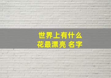 世界上有什么花最漂亮 名字